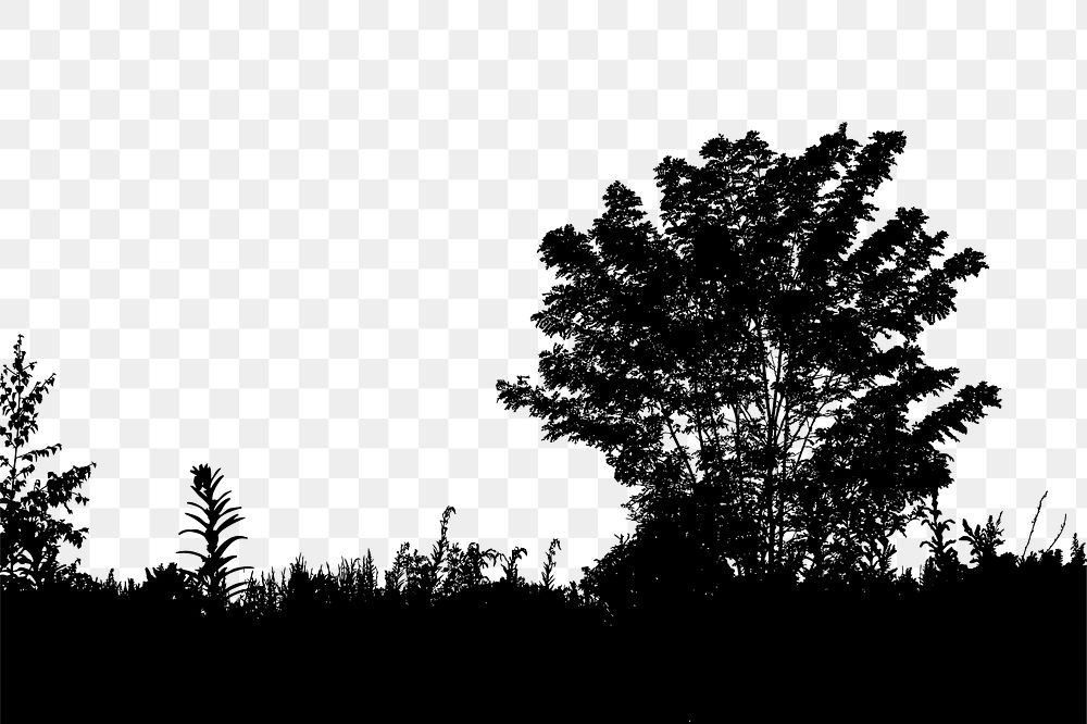 Tree silhouette png border, botanical illustration, transparent background. Free public domain CC0 image