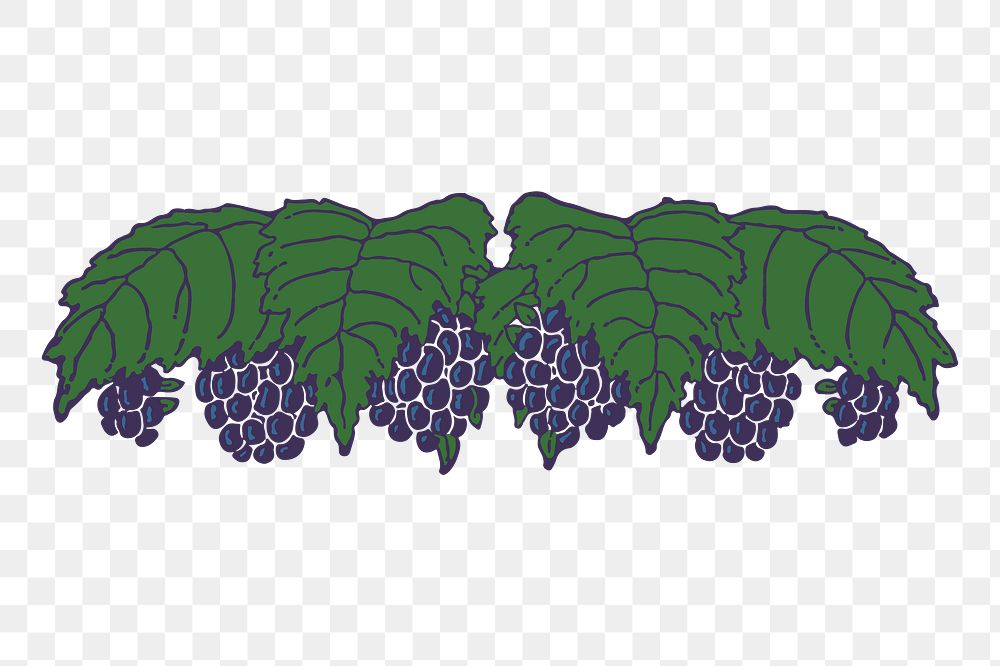 Grapes png sticker fruit illustration, transparent background. Free public domain CC0 image.