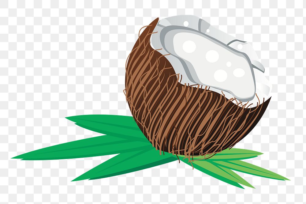Coconut png sticker fruit illustration, transparent background. Free public domain CC0 image.