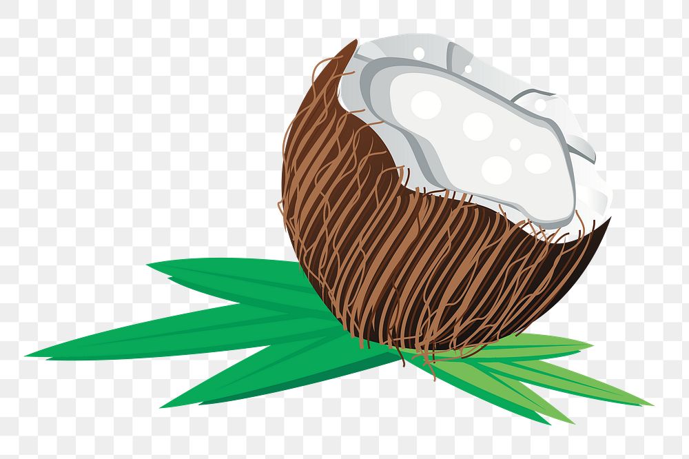 Coconut png sticker fruit illustration, transparent background.