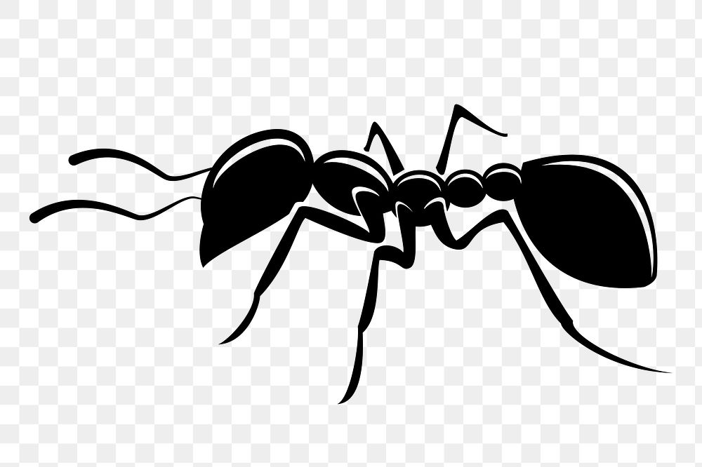 Black ant png sticker, transparent background. Free public domain CC0 image.