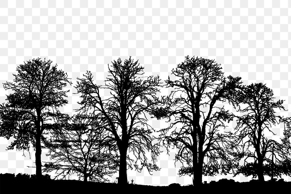 Tree silhouette png border  sticker, transparent background. Free public domain CC0 image.
