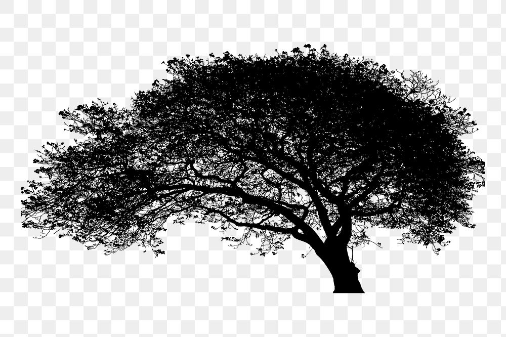 Tree silhouette png sticker, transparent background. Free public domain CC0 image.