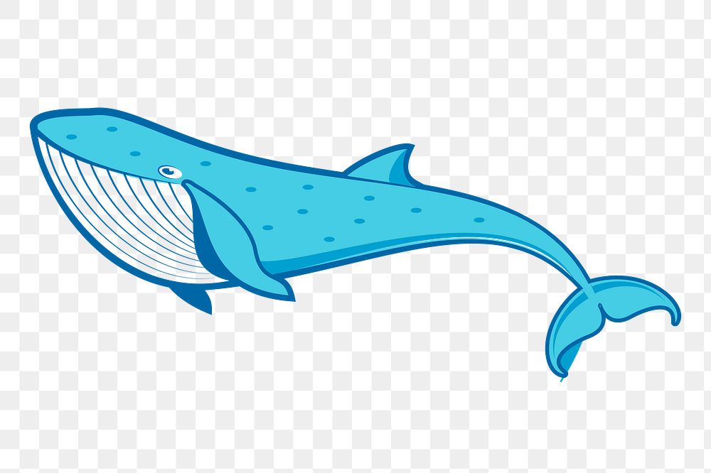Blue whale png sticker sea animal illustration, transparent background. Free public domain CC0 image.