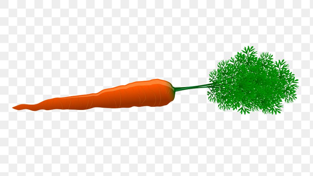 Carrot png sticker food illustration, transparent background. Free public domain CC0 image.