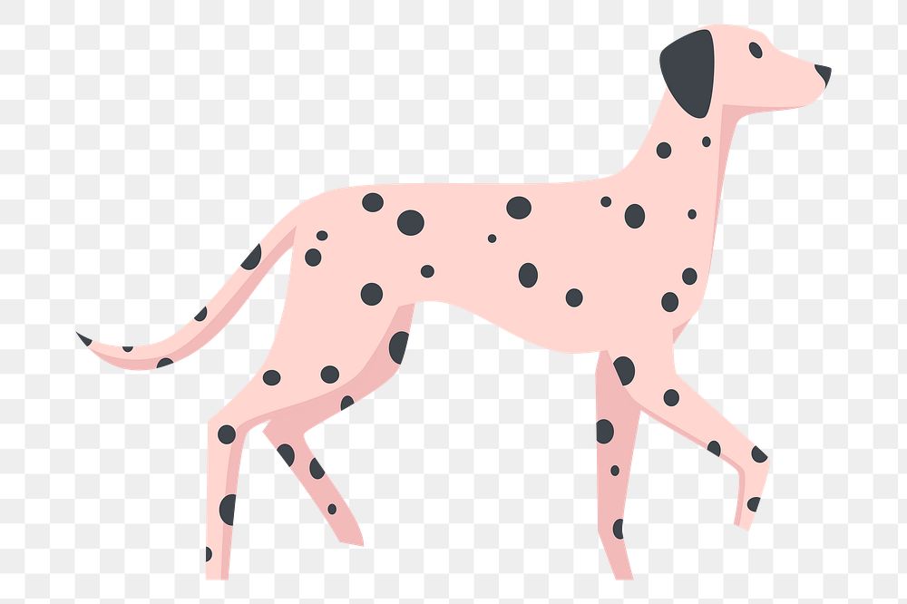 Walking Dalmatian png sticker animal illustration, transparent background. Free public domain CC0 image.