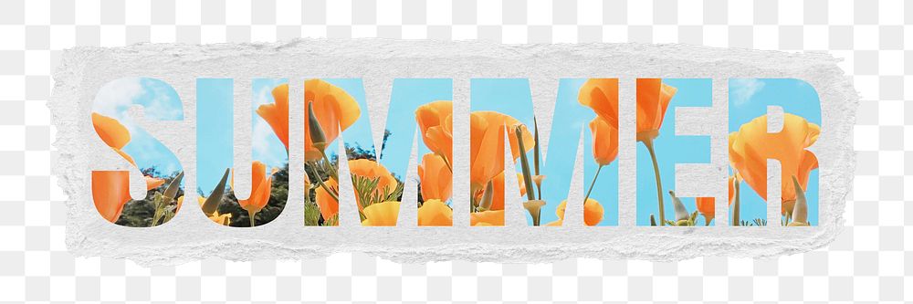 Summer png word sticker typography, flower field, ripped paper in transparent background