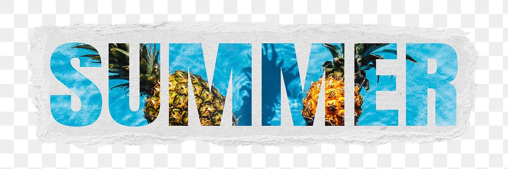 Summer png word sticker typography, pineapple in a swimming pool, ripped paper in transparent background