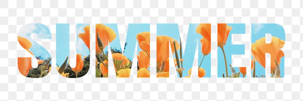 Summer png word sticker typography, flower field, transparent background