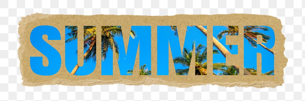 Summer png torn paper sticker typography, tropical palm tree, transparent background