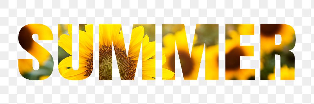 Summer png word sticker typography, sunflower in transparent background