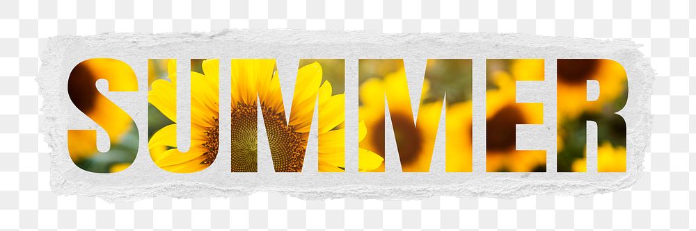 Summer png torn paper word sticker typography, sunflower in transparent background 