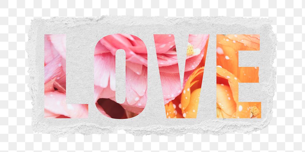 Love png word sticker typography, fresh summer flowers, torn paper in transparent background
