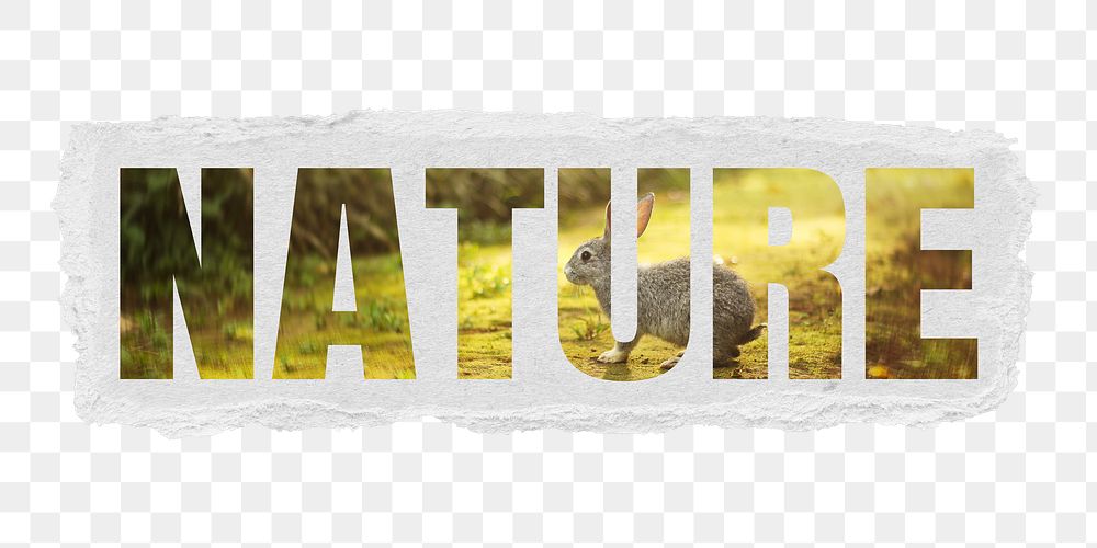 Nature png word sticker typography, wild animal outdoors, torn paper in transparent background