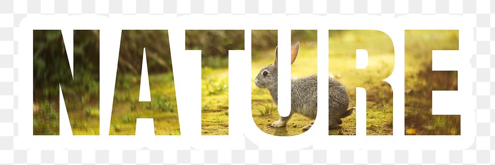 Nature png word sticker typography, wild animal outdoors, transparent background