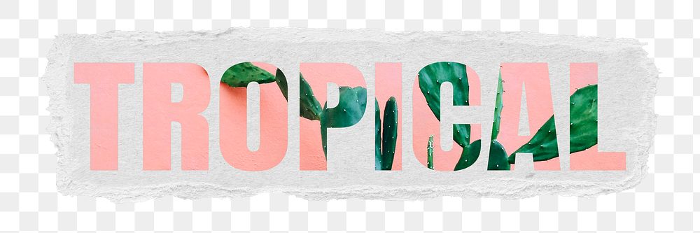 Tropical png word, cactus in pink, torn paper in transparent background