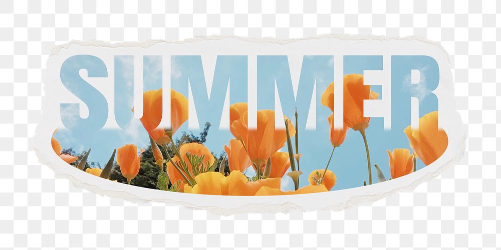 Summer png word sticker, flower design on ripped paper, transparent background