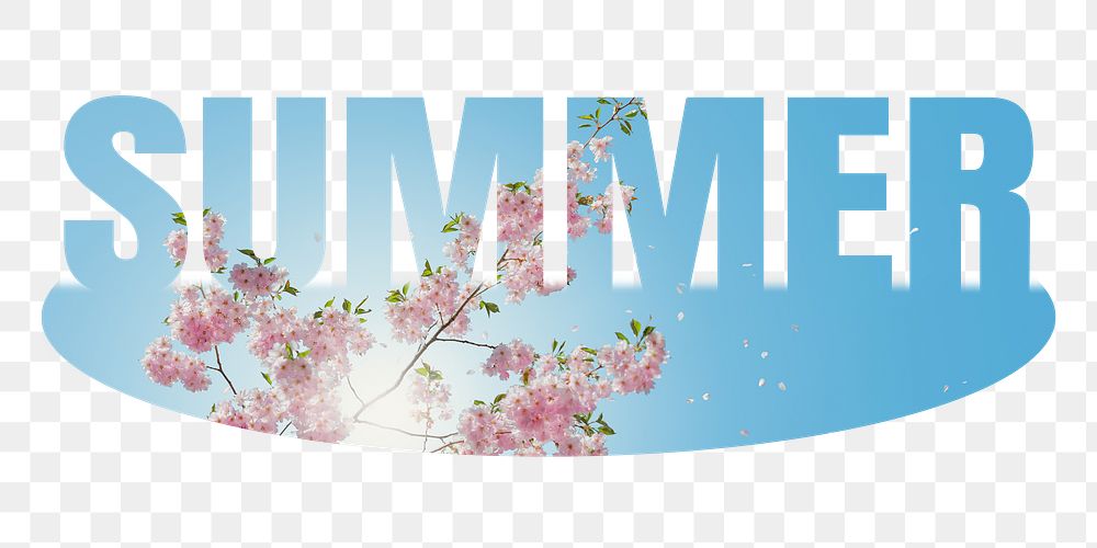 Summer png word sticker, cherry blossom on transparent background