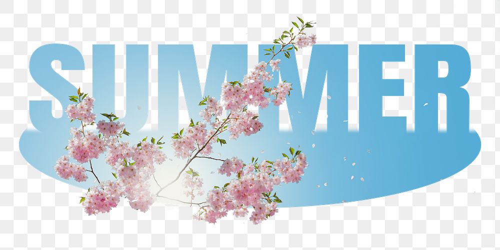 Summer png word sticker, cherry blossom on transparent background