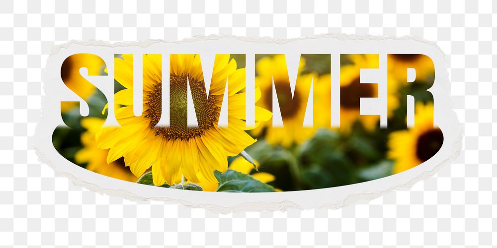 Summer png word sticker, flower design on ripped paper, transparent background