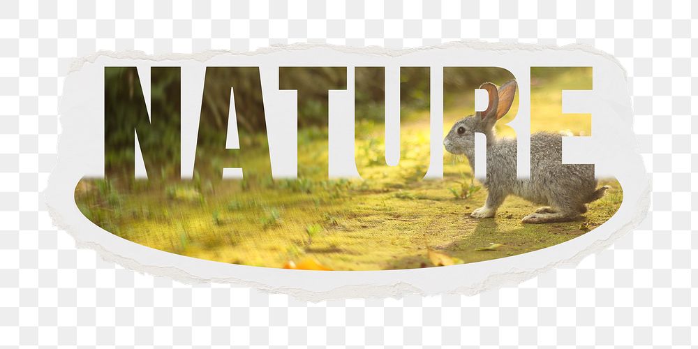 Nature png word sticker, rabbit design on ripped paper, transparent background