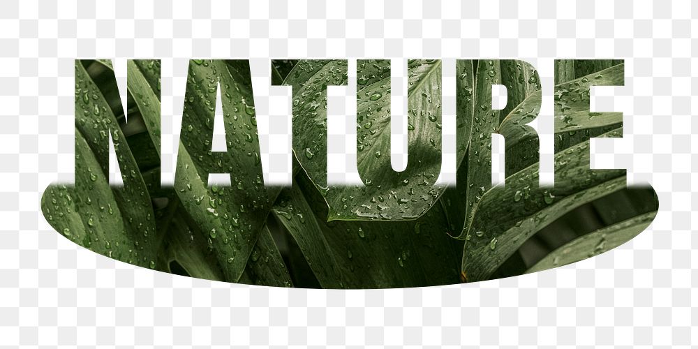 Nature png word sticker, leaf design on transparent background