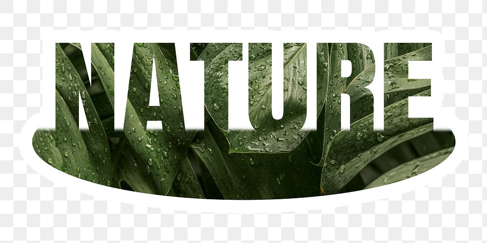 Nature png word sticker, white border typography, transparent background