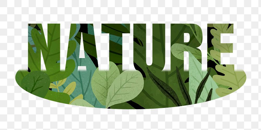 Nature png word sticker, green design in transparent background