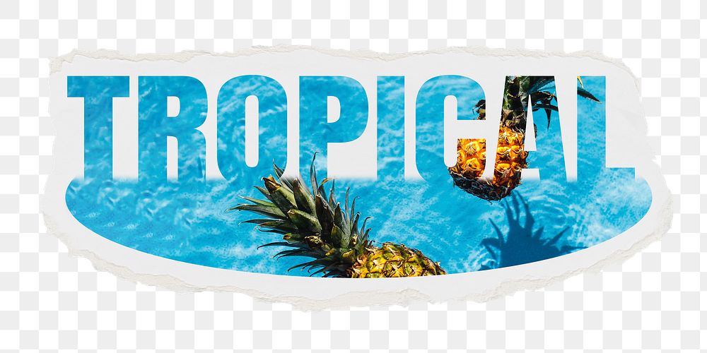 Tropical png word sticker, ripped paper, transparent background