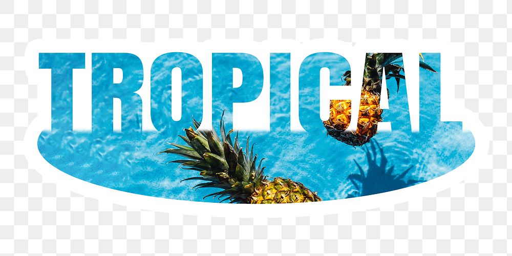 Tropical png word sticker, white border typography, transparent background