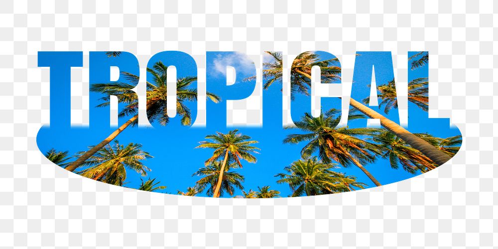 Tropical png word sticker, palm tree on transparent background