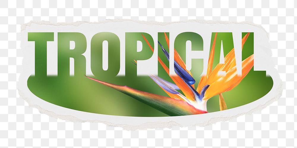 Tropical png word sticker, ripped paper, transparent background