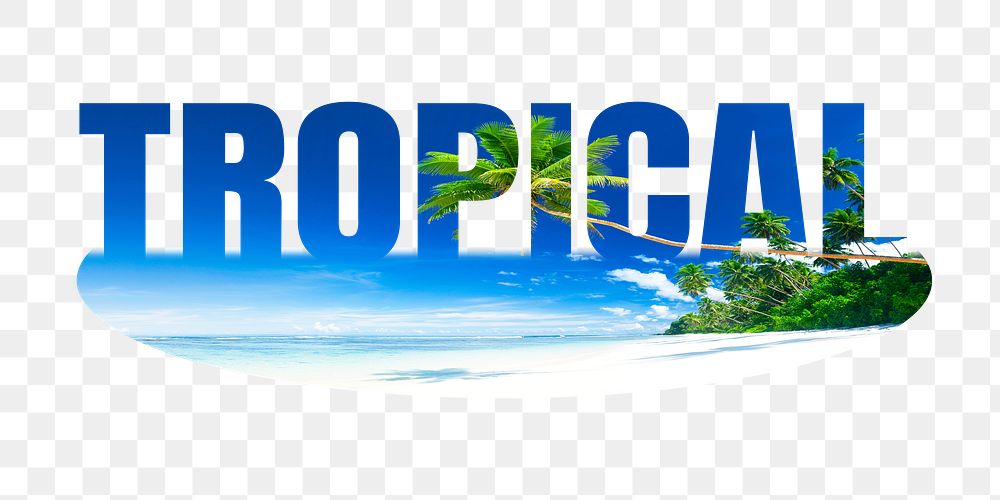 Tropical png word sticker, palm tree on transparent background