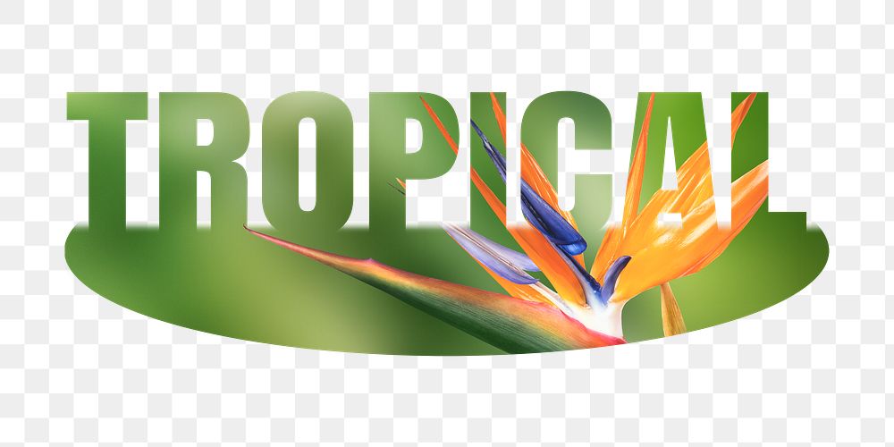 Tropical png word sticker on transparent background 