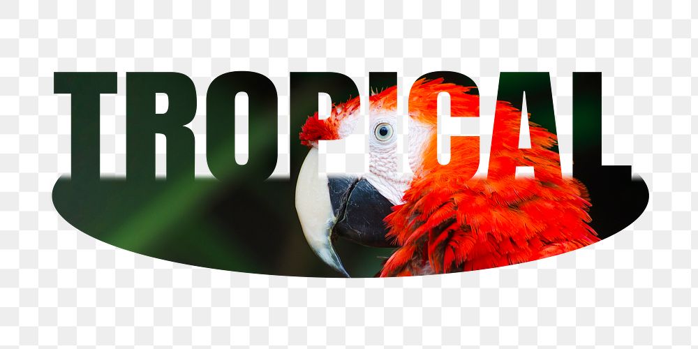 Tropical png word sticker, parrot on transparent background