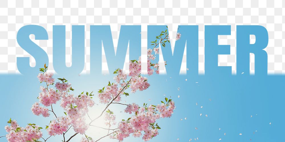 Summer word png border sticker, cherry blossom design, transparent background