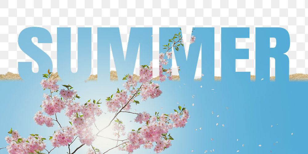 Summer word png border sticker, cherry blossom on torn paper, transparent background