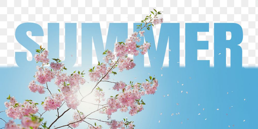 Summer word png border sticker, cherry blossom, transparent background