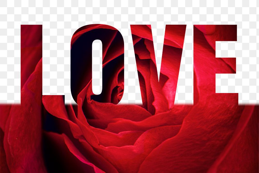 Love word png border sticker, rose design, transparent background