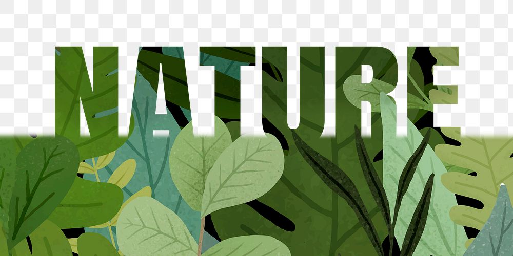 Nature word png border sticker, leaf design, transparent background