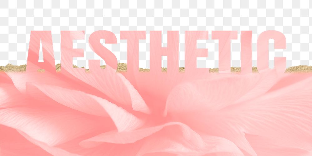 Aesthetic word png border sticker, pink  design on torn paper, transparent background