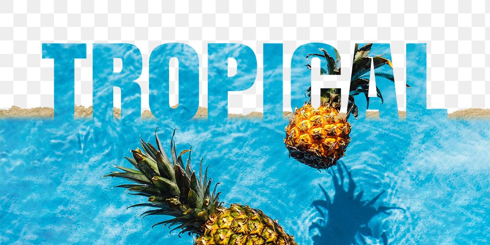 Tropical word png border sticker, pineapple design on torn paper, transparent background