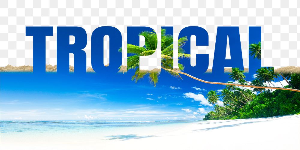 Tropical word png border sticker, beach design on torn paper, transparent background