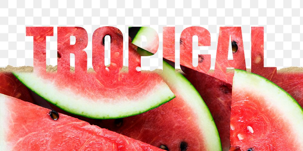 Tropical word png border sticker, watermelon design on torn paper, transparent background
