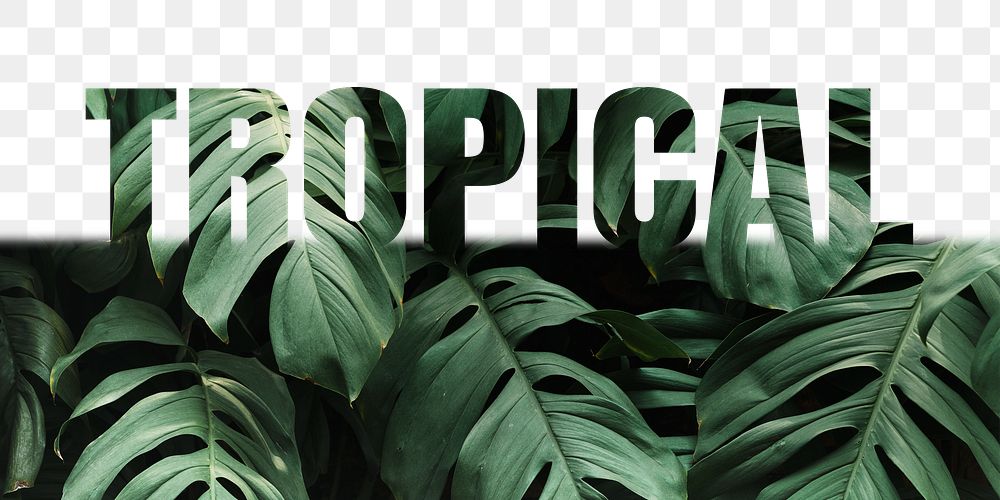 Tropical word png border sticker, Monstera leaf, transparent background