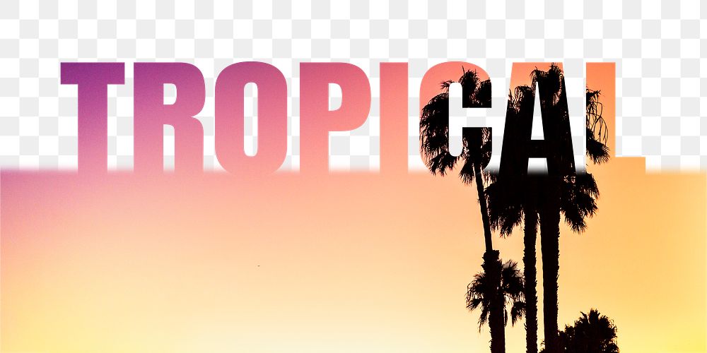 Tropical word png border sticker, sunset design, transparent background