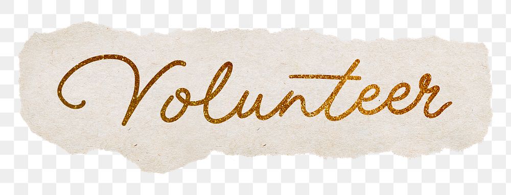 Volunteer png word, gold glittery calligraphy on ripped paper, transparent background
