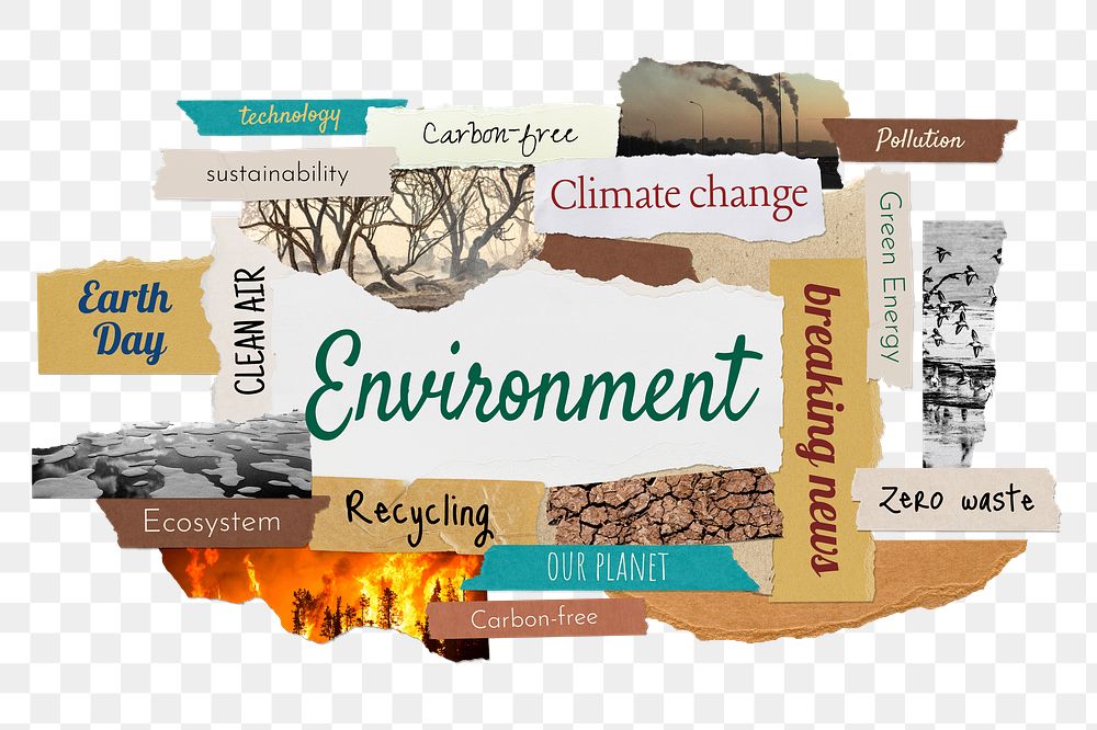 Environment png word sticker typography, torn paper, transparent background