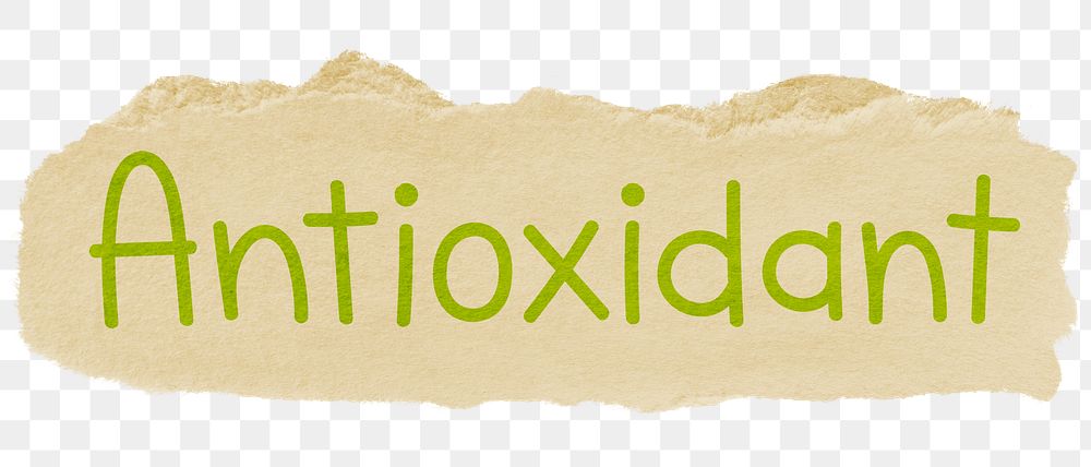 Antioxidant png word sticker typography, transparent background