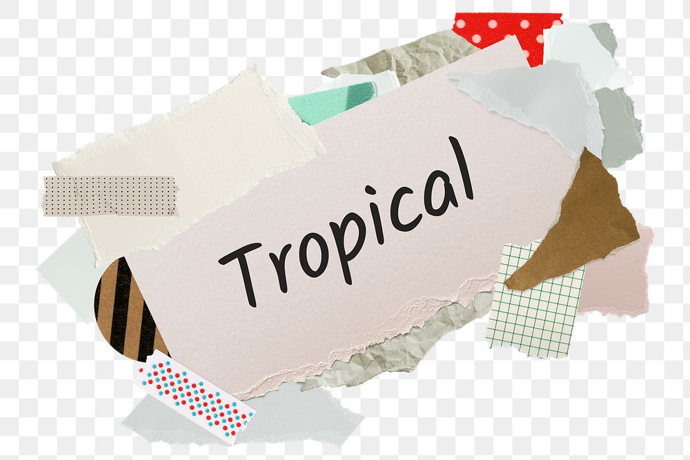 Tropical png word sticker, aesthetic paper collage typography, transparent background